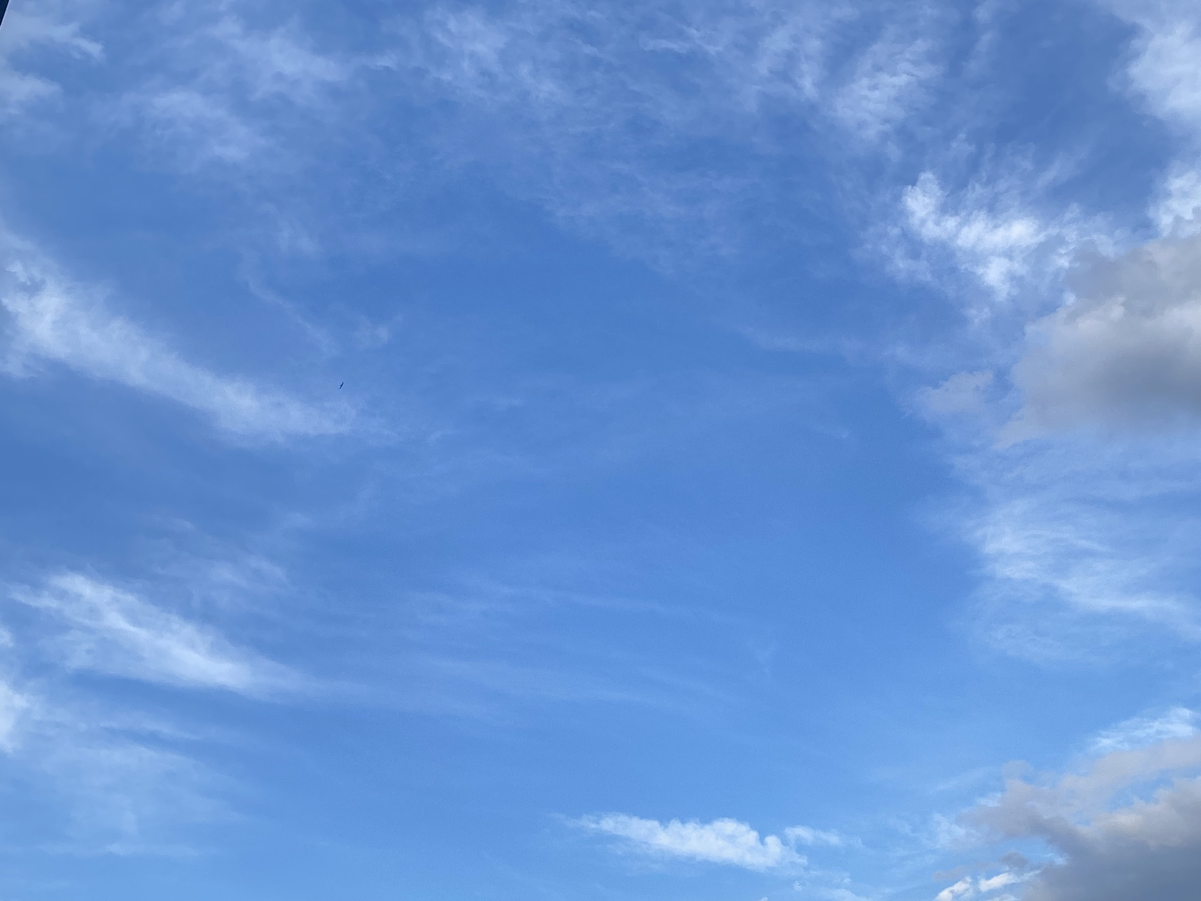 Himmel:weit Gottesdienst & Gartenfest